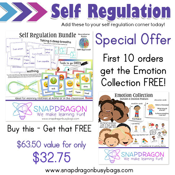 Self Regulation Bundle