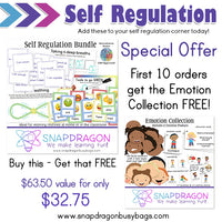 Self Regulation Bundle
