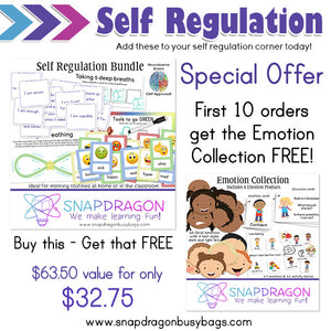 Self Regulation Bundle