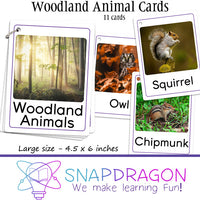 Woodland Animal Cards