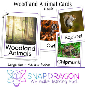 Woodland Animal Cards